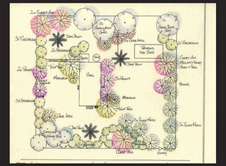 plan 8